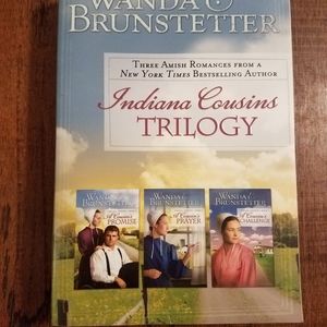 Amish Fiction Books